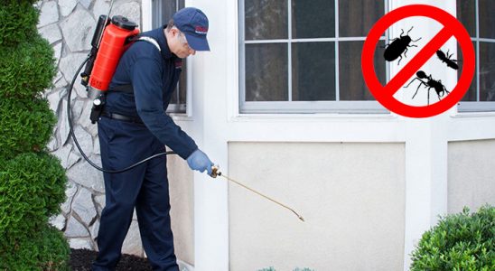 Kozluk Akrep İlaçlama böcek ilaçlama ve haşere kontrolü — ilaclama-tr.com